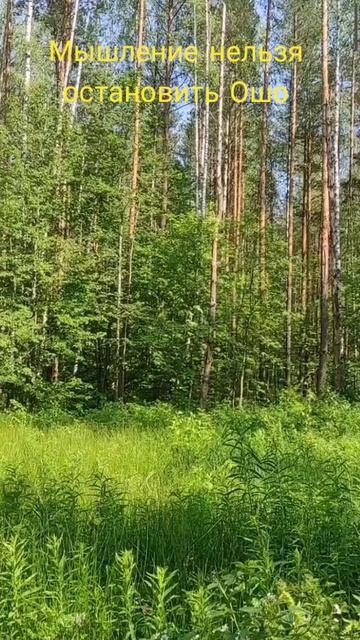 (22) Мышление нельзя остановить Ошо смотреть онлайн