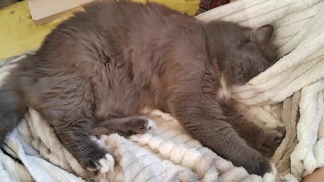 На расслабоне.mp4