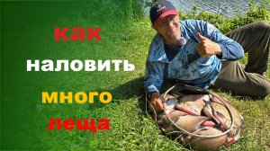 как наловить леща на реке