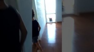 игра какая вышла из понтратоля и нам  полный коллапс