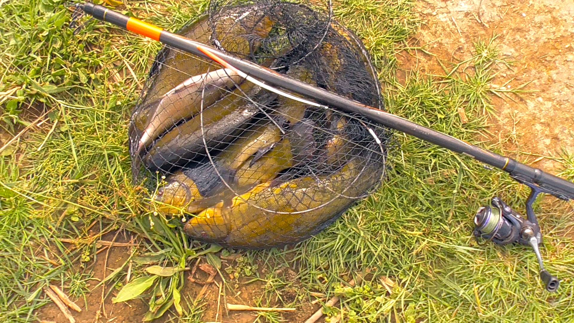 КРУПНЫЕ РЫБИНЫ НА ПОПЛАВОЧНУЮ УДОЧКУ КЛЮЮТ! ЛОВЛЯ ЛИНЯ ЛЕТОМ! Рыбалка на поплавок в камышах с лодки смотреть онлайн