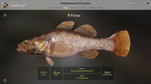 ТРОФЕЙ РОТАН!!!!КОМАРИНОЕ - РУССКАЯ РЫБАЛКА 4