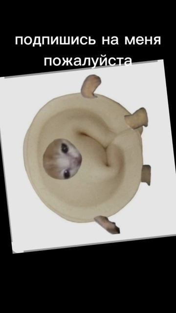подпишись на меня пожалуйста :3