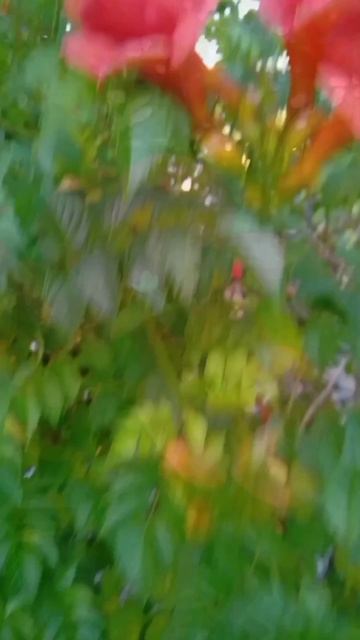 Я ВЫБИРАЮ СЕБЯ смотреть онлайн