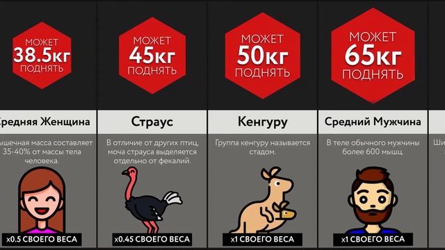 Сколько Поднимет ___ смотреть онлайн