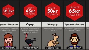 Сколько Поднимет ___