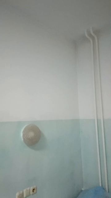 День 4 Четвёртая палата