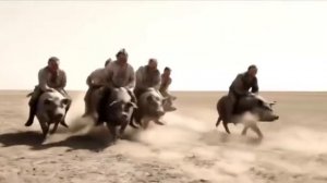 контрнахрюк