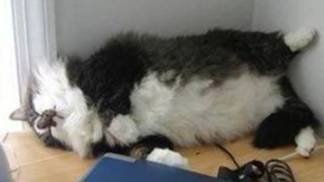 Tetsuko No Tabi 2 серия