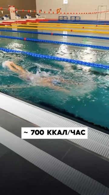 Сколько «пицц и шоколадок» можно сжечь за 1 тренировку по плаванию?🔥 смотреть онлайн