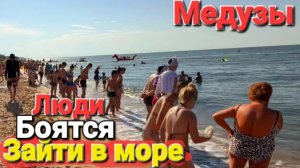 Это просто шок онлайн! Медузный Апокалипсис. Люди боятся зайти в море. #Голубицкая Азовское море