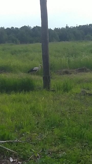 Мама на все руки