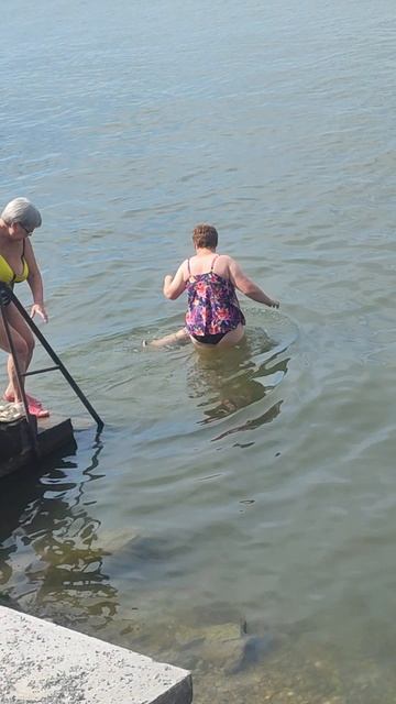 Громкий пудель плавает🐶❤ смотреть онлайн