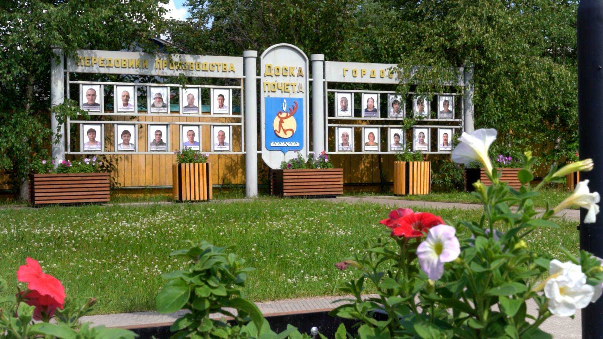 Зарисовка – Солнечная Толька