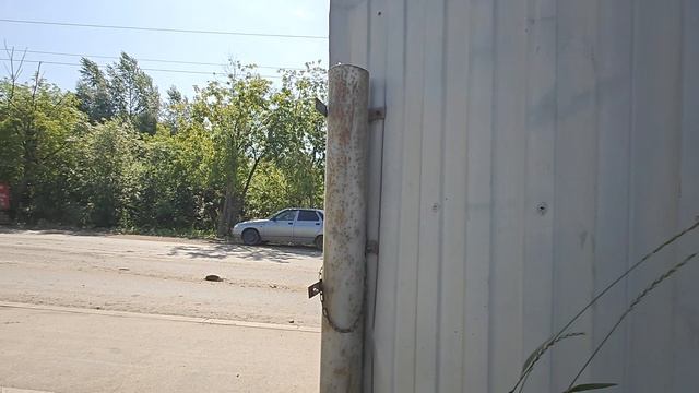 1000068059.mp4 смотреть онлайн