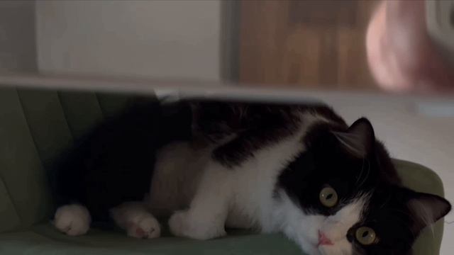 Я обиделась!!! смотреть онлайн