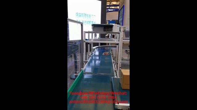 Конвейерная линия для смены слоев смотреть онлайн