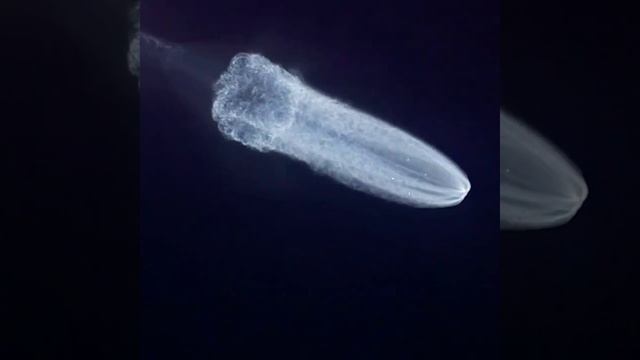 Китайцы отправили 9 тонн грузов на свою космическую станцию. Получилось красиво смотреть онлайн