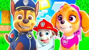 РОДИЛСЯ РЕБЁНОК У СЕМЬИ ЩЕНЯЧИЙ ПАТРУЛЬ в МАЙНКРАФТ PAW PATROL МУЛЬТИК МАРШАЛ ГОНЩИК СКАЙ