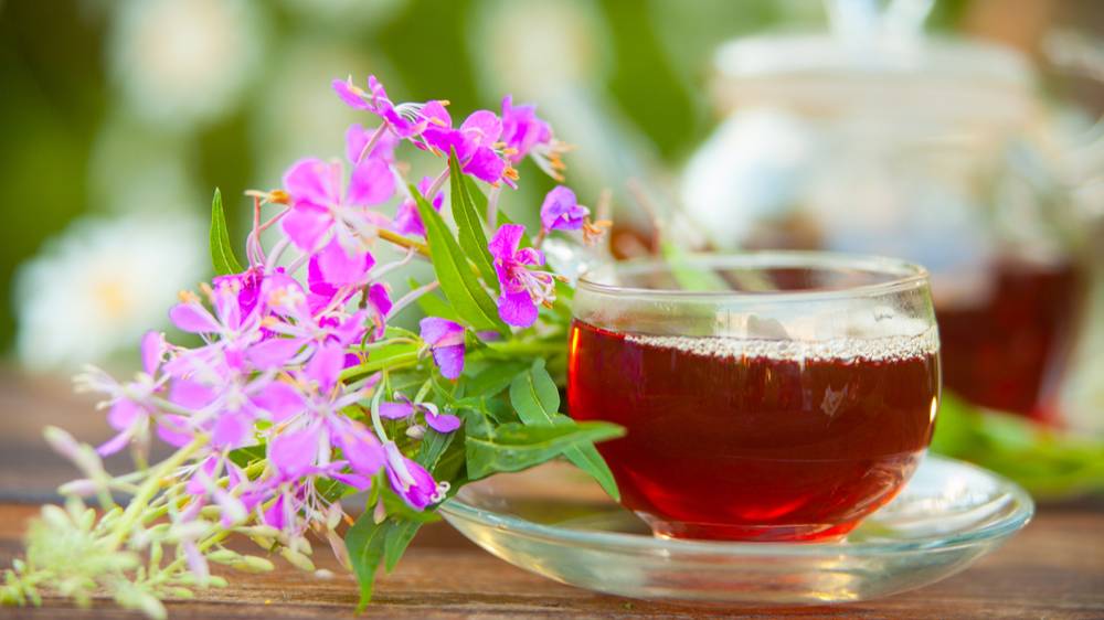 Заготовка Иван-Чая. Упрощенный способ .Ферментация .Ароматный чай готов. смотреть онлайн