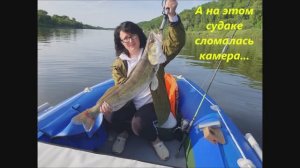 Жена тащит СУДАКА