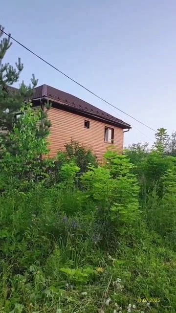 Деревня Мисирево (Клинский район, Московская область) 11.07.2025