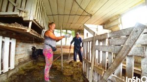 КОММЕНТАРИИ,Мне вас жаль мы целуемся а вам не повезло,Влог,Деревня,Алтай