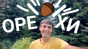 Стих 273. Орехи