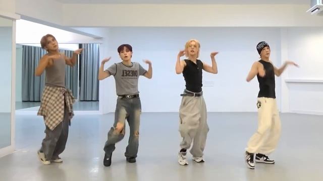 Xlov-1&only Dance Practice Mirror