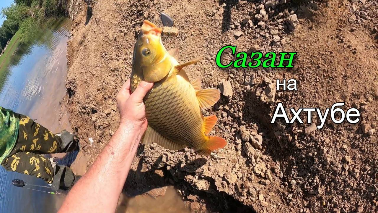 Рыбалка летом на реке Ахтуба смотреть онлайн