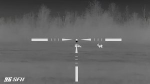 Баллистика по косуле на 240 метров! Охота с тепловизором SFH VARG H50RL. #охота #тепловизор