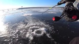 Ловля на балансир зимой