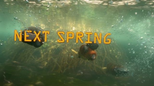 Попрыгунчики смотреть онлайн