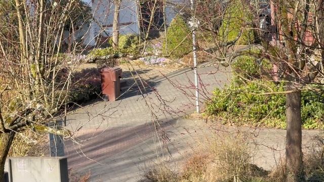 Влоги из Германии🇩🇪🇰🇿 Суп с грудкой и Aufstrich\ Закуп?