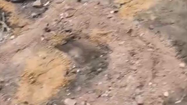 Гефест-4 поиск силовых кабелей