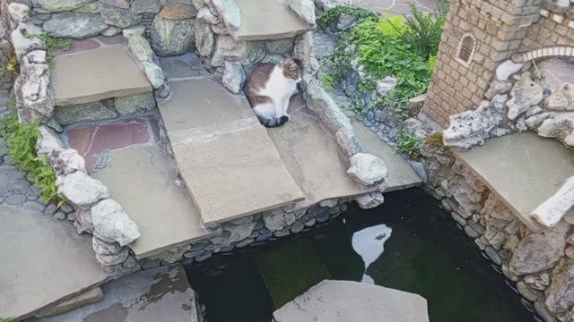 Кошечка в замке 2 серия 1 сезон мп