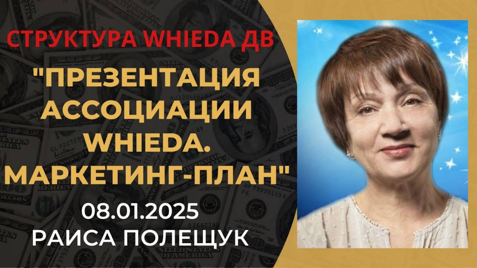 WHIEDA. Презентация. Маркетинг-план смотреть онлайн