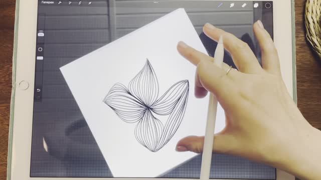 Зенарт - Необычный цветок (часть 1. Лепестки из линий)