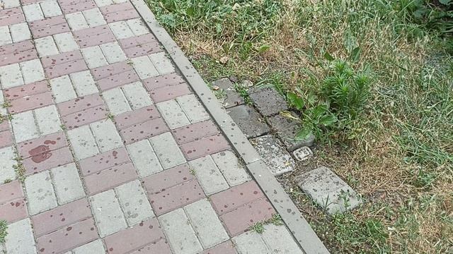 Дождь в жару