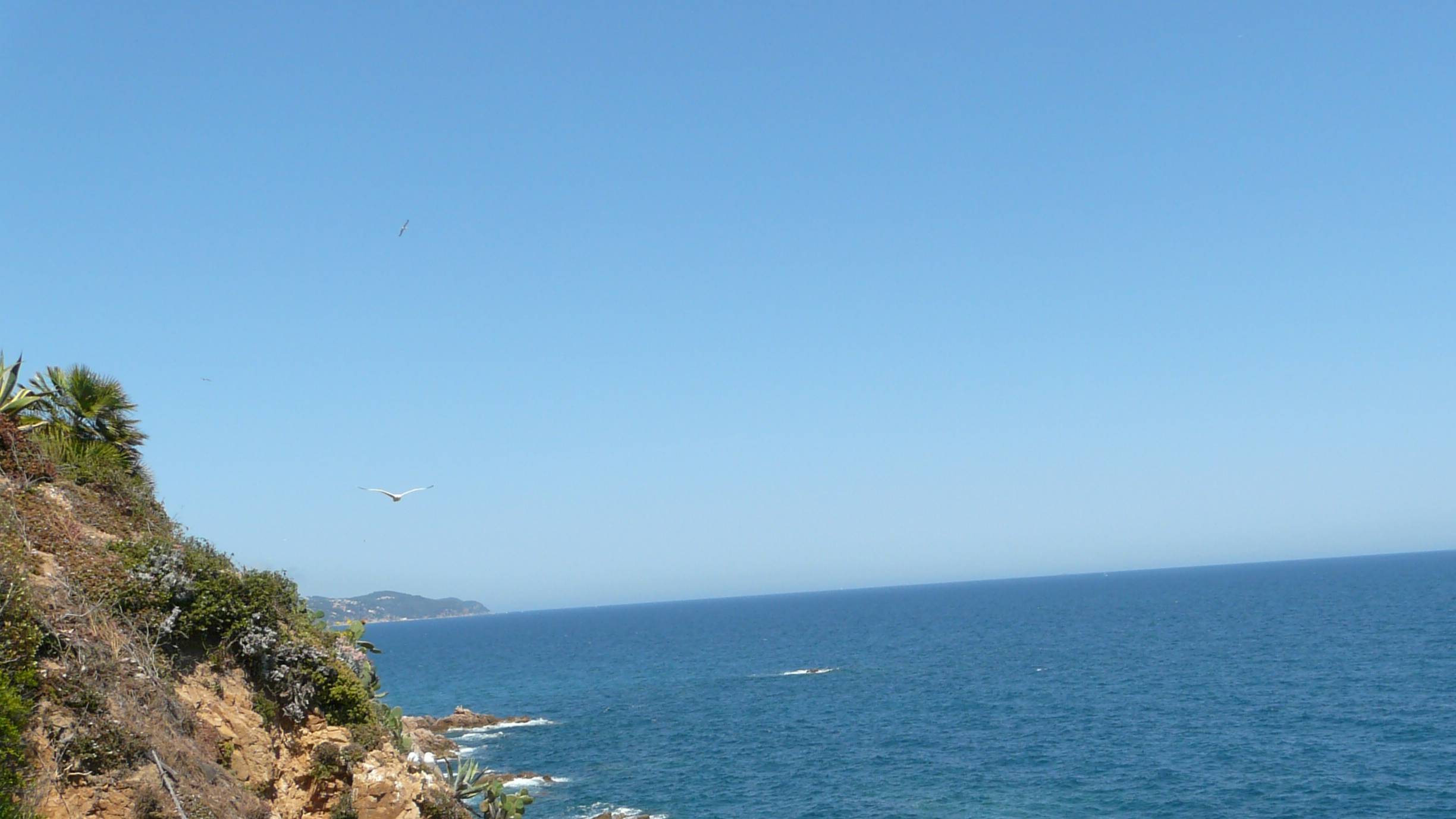 Побережье Коста-Брава, на склоне горы Сан-Хуан. Испания. смотреть онлайн