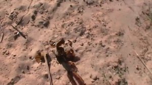 #Страйкбол. Стальные шары для привода. Стоит ли?