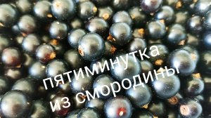 Варенье из смородины « Пятиминутка « 10 стаканов сахара