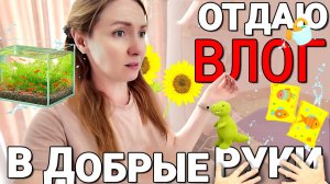 Отдаю ВЛОГ в добрые  руки👀. Лёша сделал кровать 🛏️