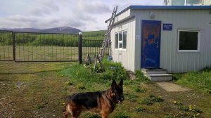 30. Трейс работает работу!.mp4