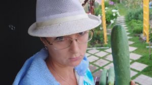 Видео привет с 6 соток 16 июля 2025 года