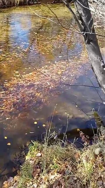 Забайкалье смотреть онлайн