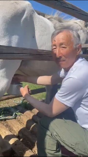 Лиханов Марк Прокопьевич смотреть онлайн