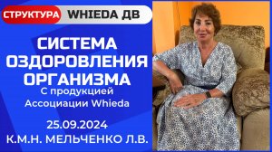 WHIEDA. Система оздоровления организма