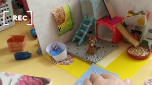 распаковка посылки для новой комнаты