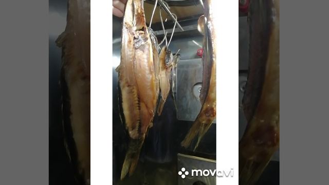 Арефьев Николай